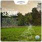Organic Whole Sesame Tahini Paste - Unhulled & Stone-Ground - Silky Smooth Texture in Hummus, Dips, Dressings - Unsalted, Nut-Fr