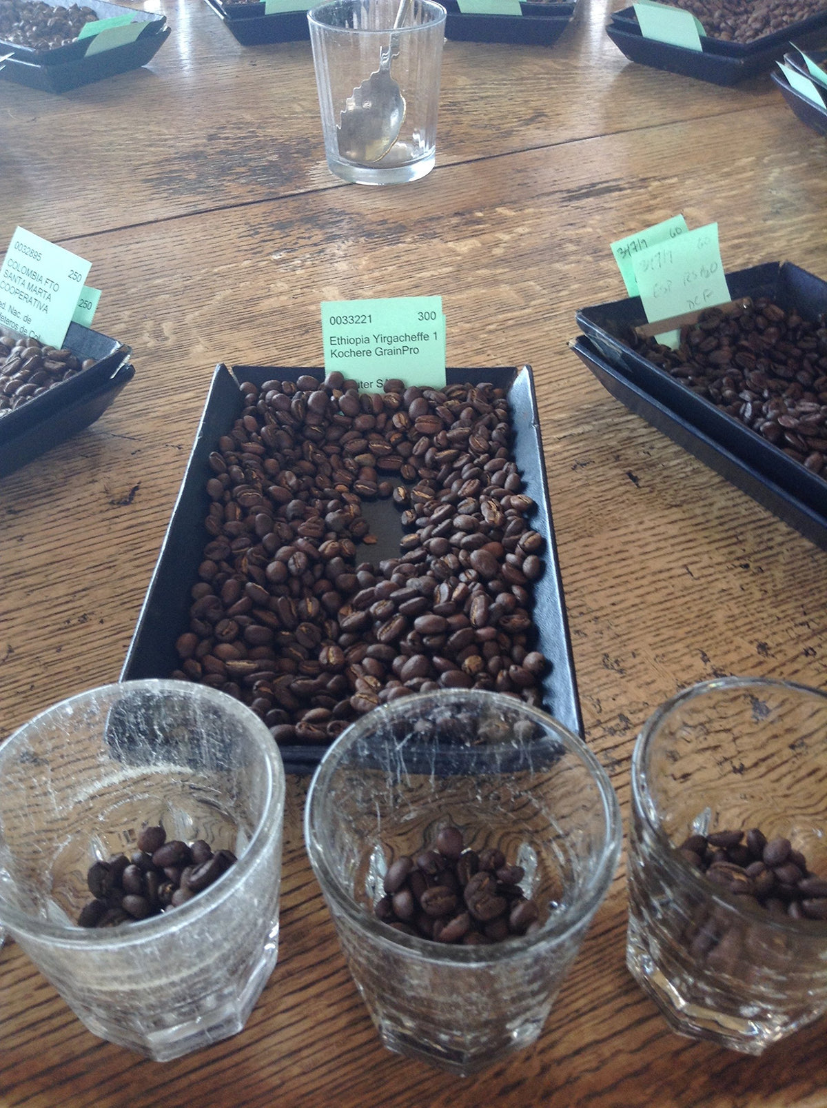 Ethiopian Yirgacheffe Green Unroasted Coffee Beans 1 Pound