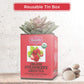 Brew La La Organic Green Tea - Natural Strawberry Flavor - 50 Tea Bags - Low Caffeine Gourmet Tea