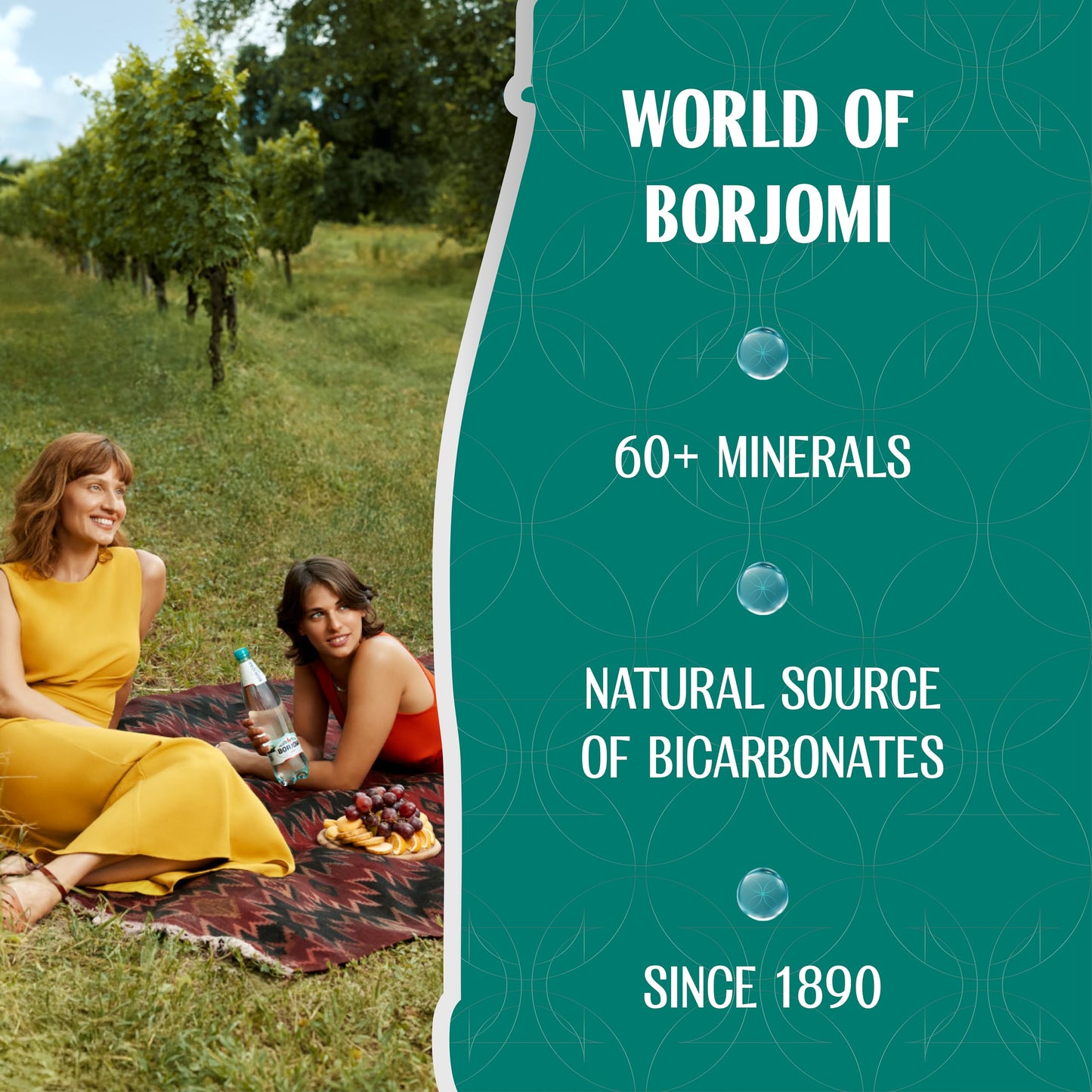 BORJOMI Sparkling Mineral Water from Georgian Volcanic Springs  Canned  Naturally Carbonated  Plain  Unflavored  11.15 fl oz Cans  12 Pack