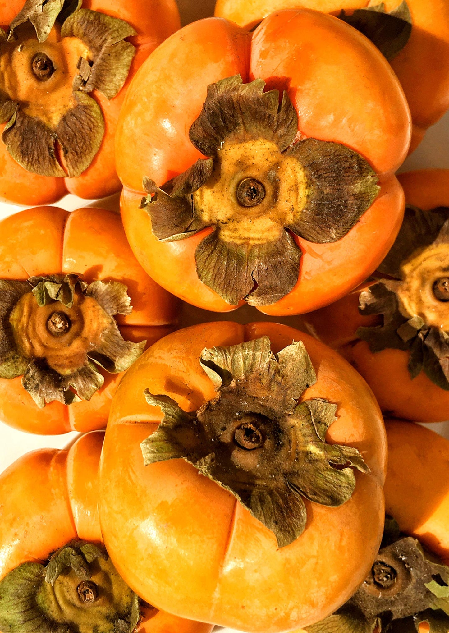 KEJORA Fresh Fuyu Persimmons (10 LB)