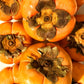 KEJORA Fresh Fuyu Persimmons (10 LB)