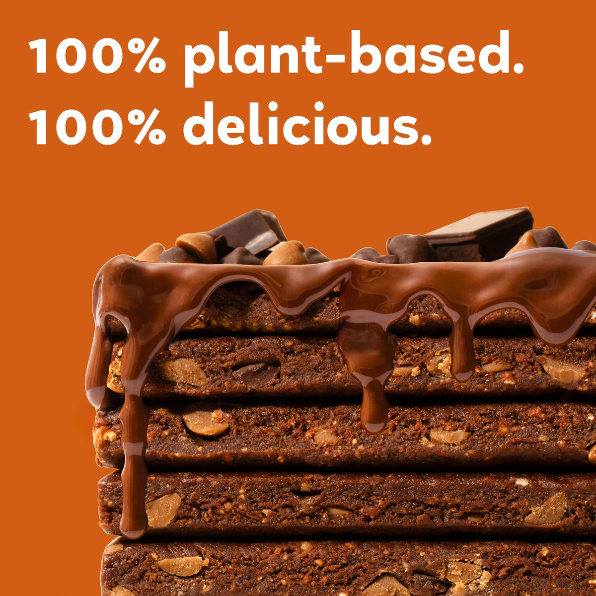 Gomacro Macrobar Mini Organic Vegan Snack Bars - Double Chocolate + Peanut Butter Chips (0.9 Ounce Bars, 24 Count)