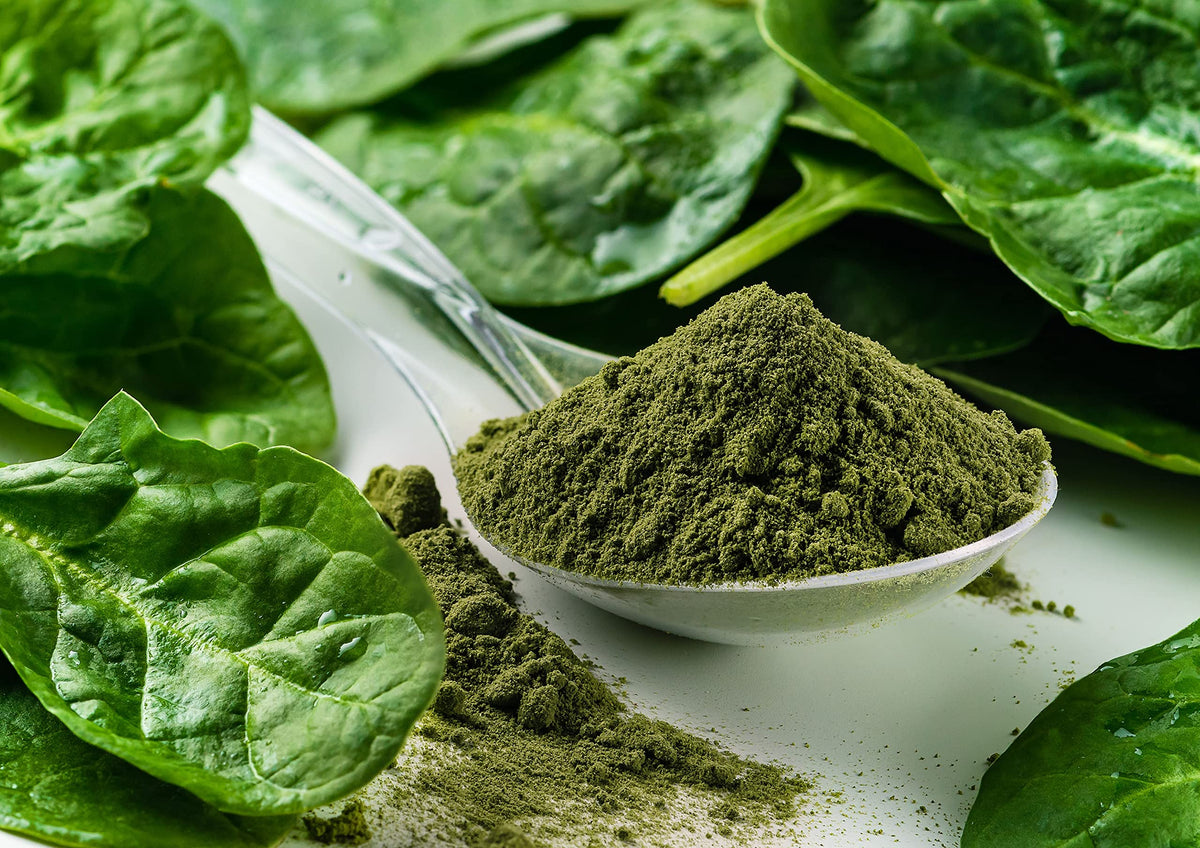 Food To Live Organic Spinach Powder, 4 Pounds - Non-Gmo, Finely Ground Dehydrated Leaves, Pure, Vegan, Kosher, Bulk. Source Of F