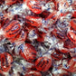 Sugar Free Cinnamon Hard Candy Buttons - 50 Pieces of Fresh Delicious Individually Wrapped Candy