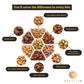 Nut Haven Thanksgiving Nuts Gift Basket - Extra Large Assortment of Sweet & Roasted Salted Nuts - Brown 2 Color