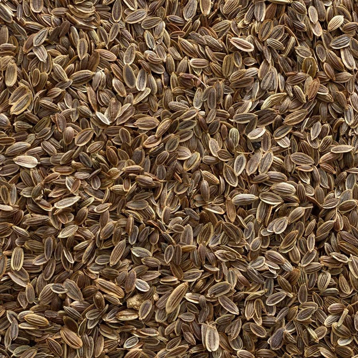 Frontier Co-op Organic Whole Dill Seed 1lb - 1 Pound (Pack of 1)