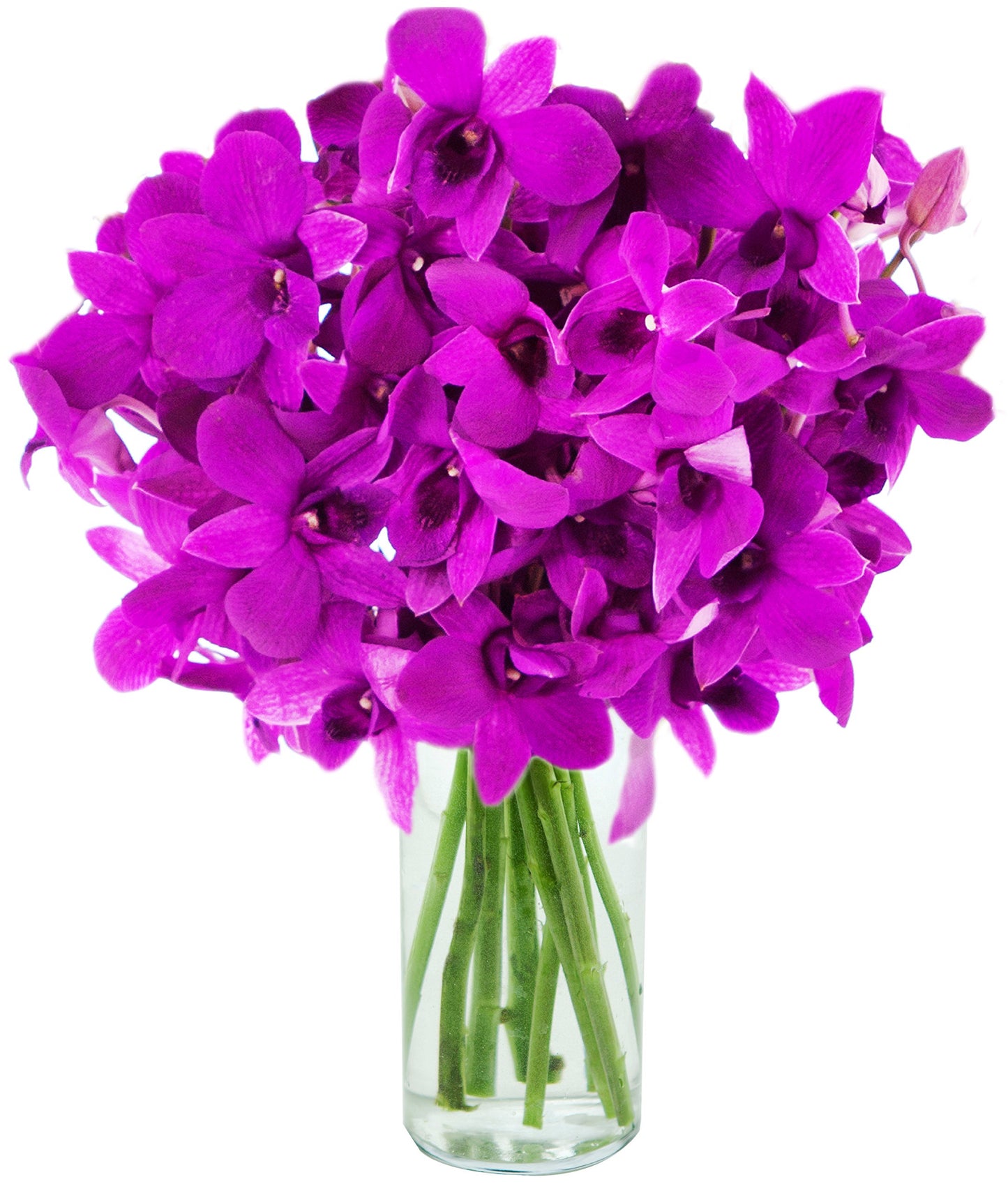 KaBloom Flowers - The Ultimate Purple Bouquet of 20 Purple Orchids with Vase .Gift for Birthday, Anniversary, Thank You, Valentine, Mother’s Day Fresh Flowers