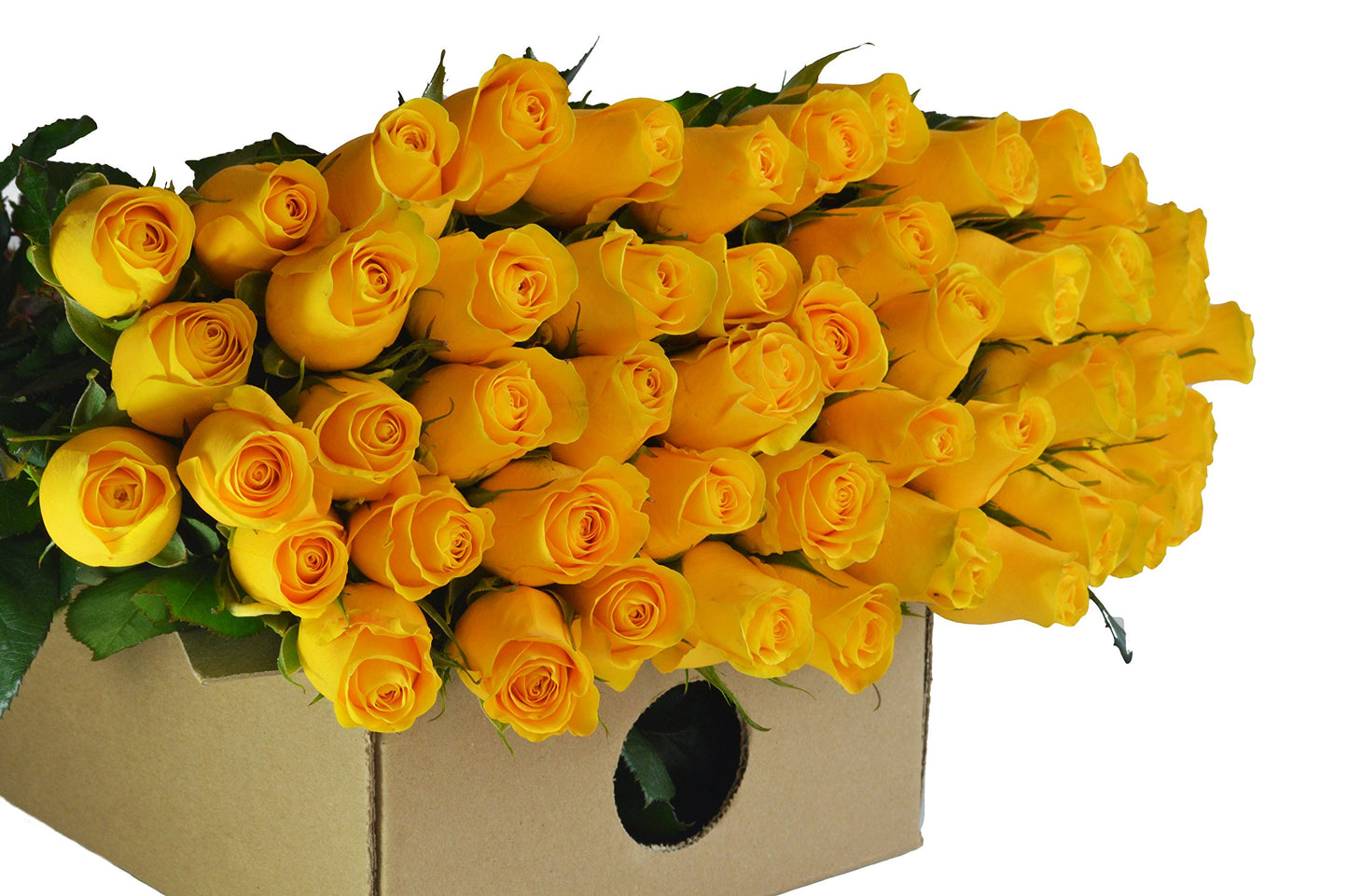 Blooms2Door Flowers - MotherS Day Collection - 50 Yellow Roses (Long Stem - 50Cm) - Wholesale Fresh Flowers I Gift For Birthday  Anniversary  Thank You  Mothers Day Fresh Flowers.