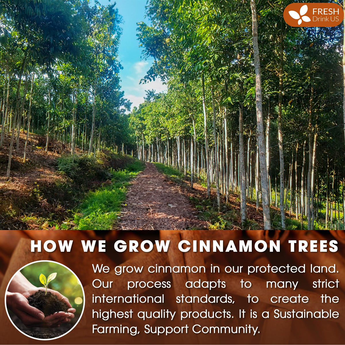 FRESHDRINKUS Premium Cinnamon Sticks, 100% Natural Inner Bark, Strong Aroma, 30 Counts