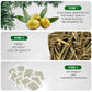 TeaDreamTea Olive Leaf Herbal Tea Bags - Caffeine Free - 100 Count