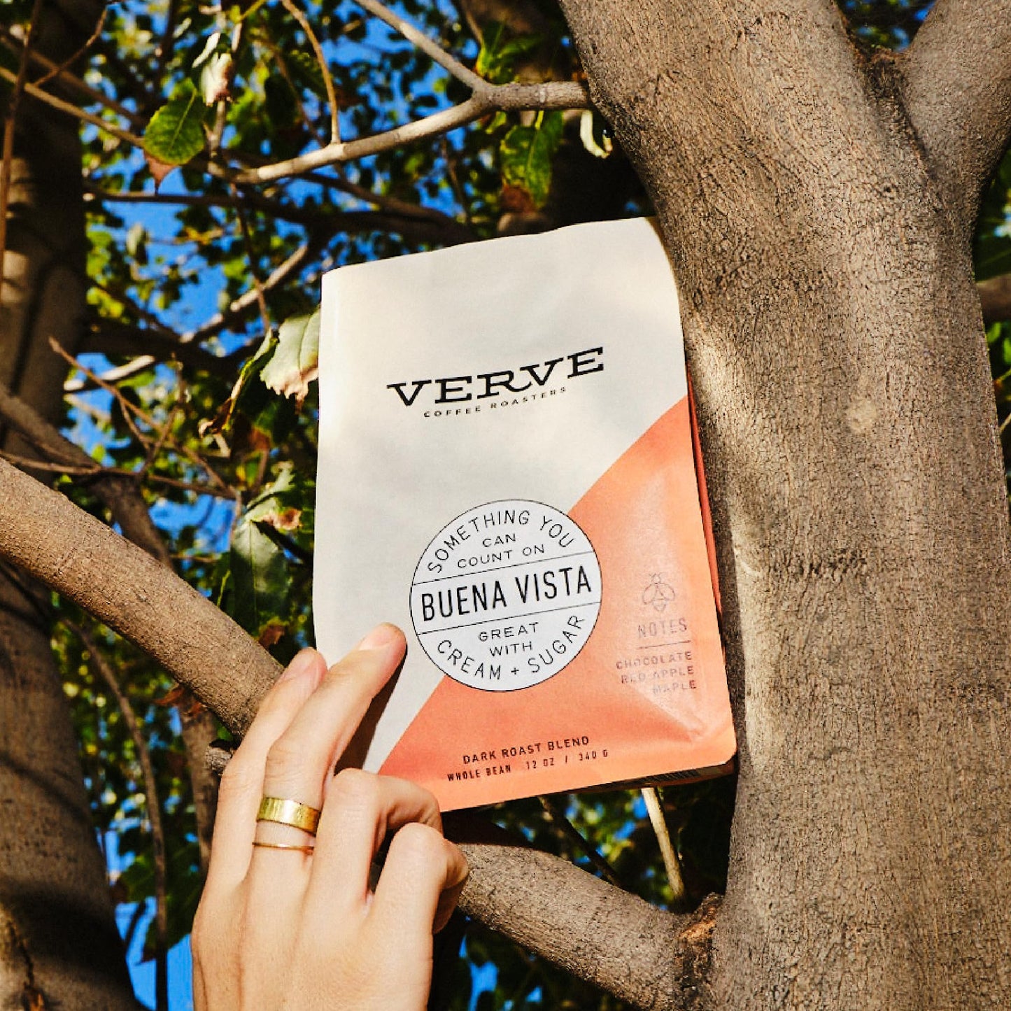 Verve Whole Bean Coffee | Buena Vista Blend | Dark Roast Arabica | Direct Trade | Resealable Pouch | Enjoy Hot or Cold Brew | Id