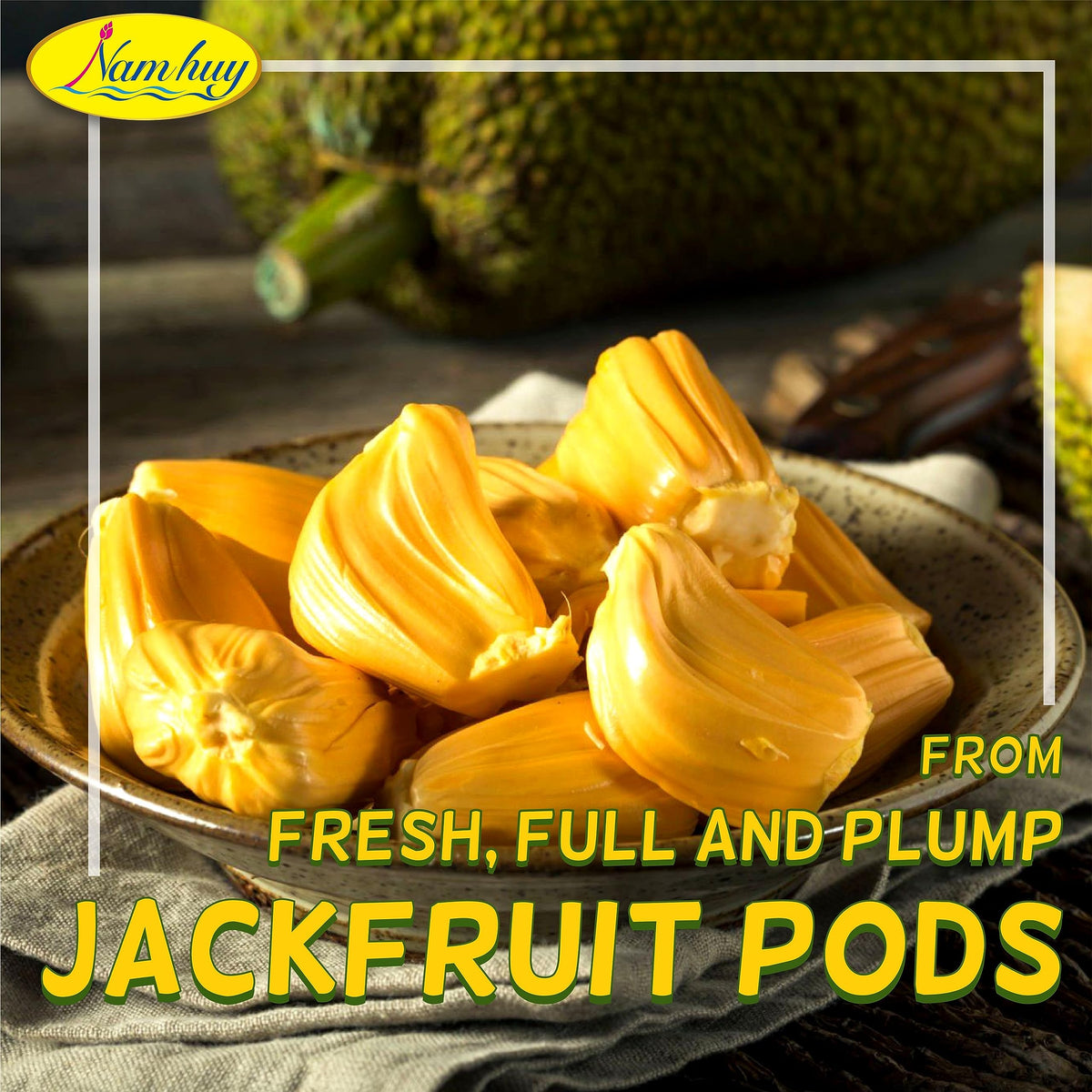 NAM HUY Dried Jackfruit Snacks, Vegan, No Added Sugar, 16 Oz