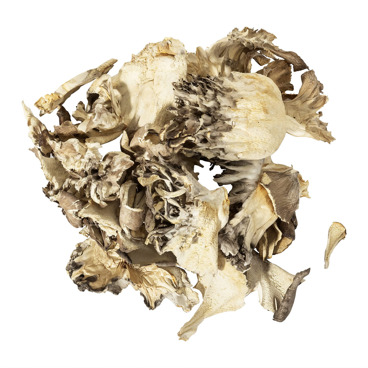 OliveNation Premium Dried Mushrooms, Maitake, 8 Ounce