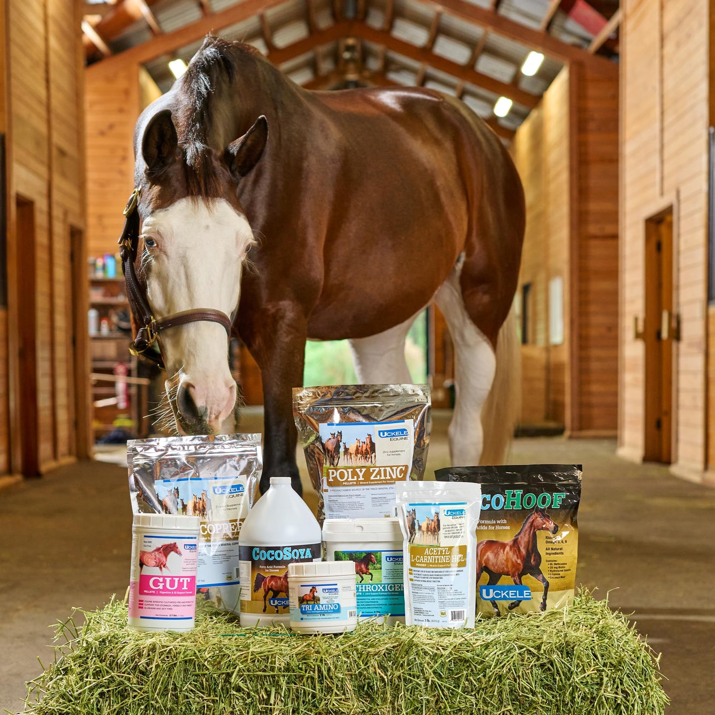 Smartequine Cocosoya Oil | Oil For Skin And Coat | Contains Soybean And Coconut Oil For Overall Coat Shine And Horse Health | Nourishing Fatty Acids For A Lustrous Appearance | 1 Gallon