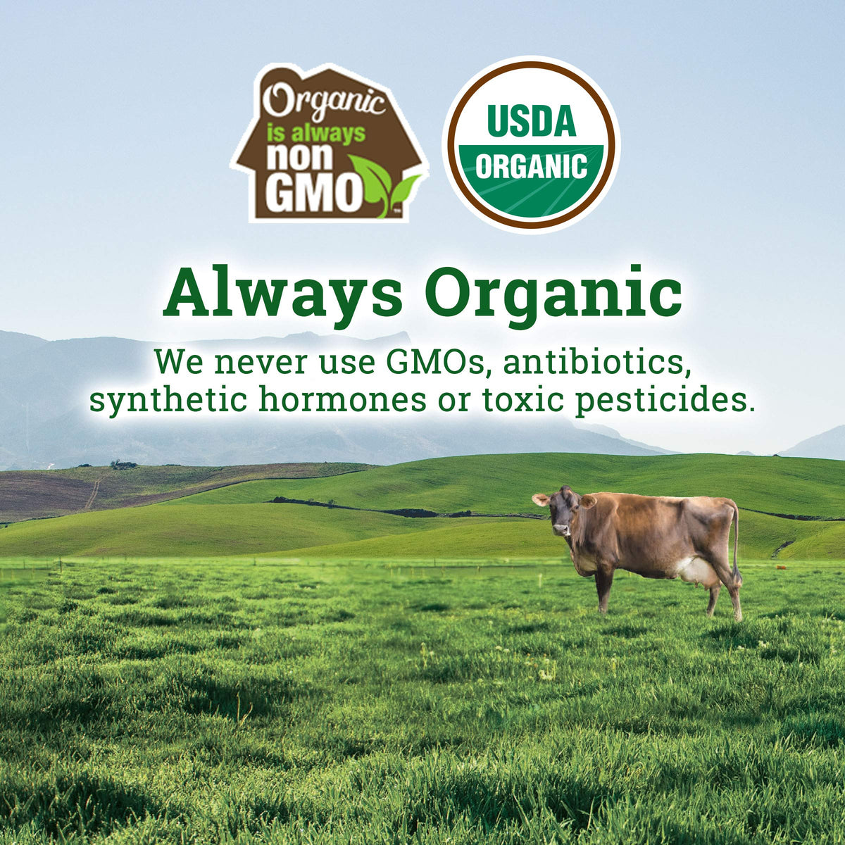 Organic Valley Organic Small Curd Cottage Cheese, 16 oz