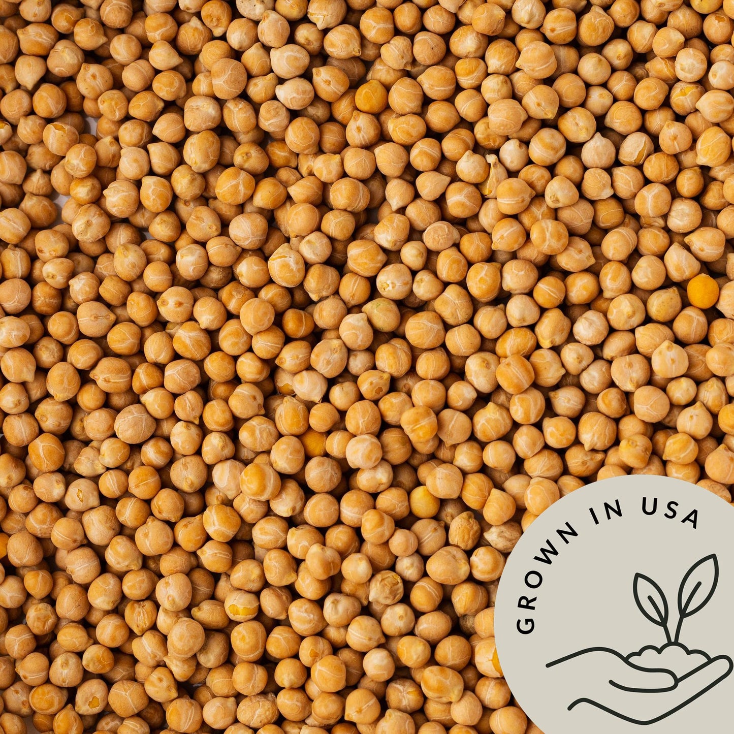 Be Still Farms Organic Dried Chickpeas, Non-GMO, Vegan, Gluten Free, 4.8 lb Bulk