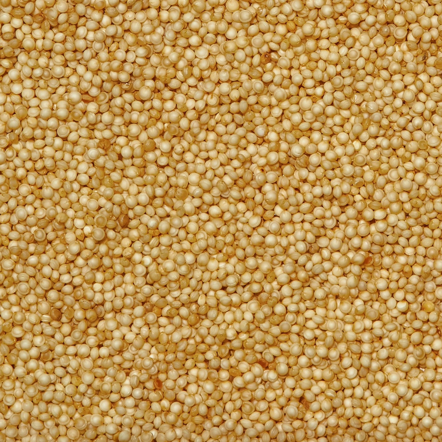 SIMPLi Regenerative Organic Certified Amaranth, 12 OZ