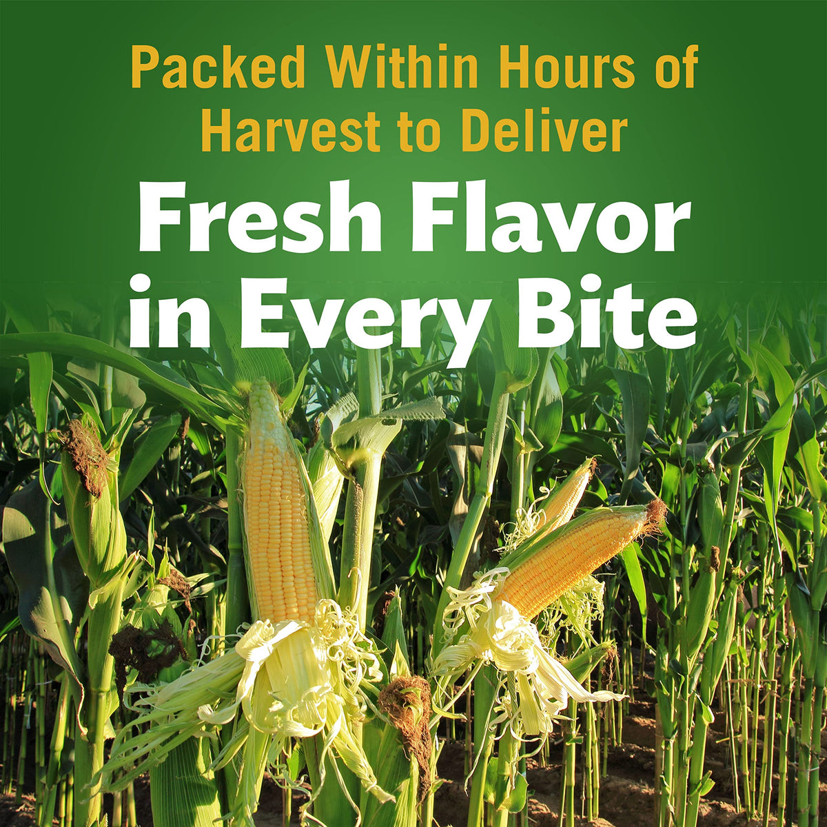 Del Monte Cream Style Corn, 8.25 oz (Pack of 12) - Yellow, Sweet Corn for Soups, Sides & Recipes