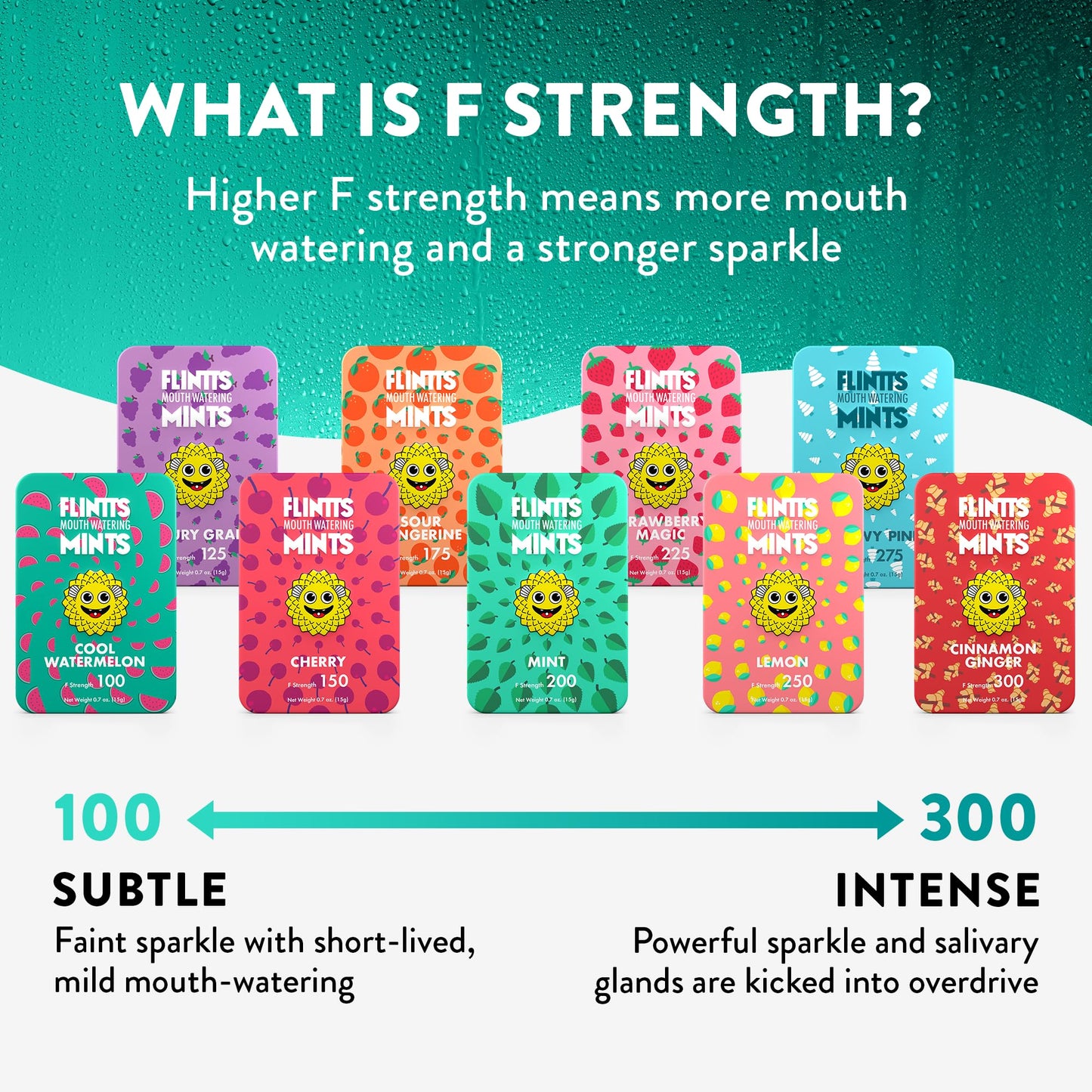 Flintts Mints Mint Stash (2X Refill Mint) - Sugar Free & Vegan, Mouth Watering & Sparkling Breath Freshener Mints For Oral Healt