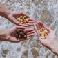 Island Harvest Organic Macadamia Nuts - Unsalted, Keto Friendly, Dry Roasted, 8 Ounce