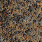 No-Till Cover Crop 13-Seed Mix (1 Lb. Bag): [50% Clovers Plus Fenugreek, Vetch, Flax, Cowpeas, Buckwheat, Forage Peas, Millet, L