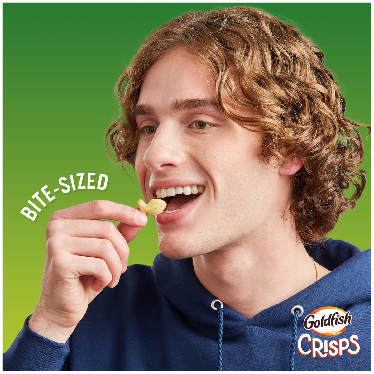 Goldfish Crisps Sour Cream & Onion Baked Chip Cracker Snacks, 6.25 Oz Bag (Pack of 2)