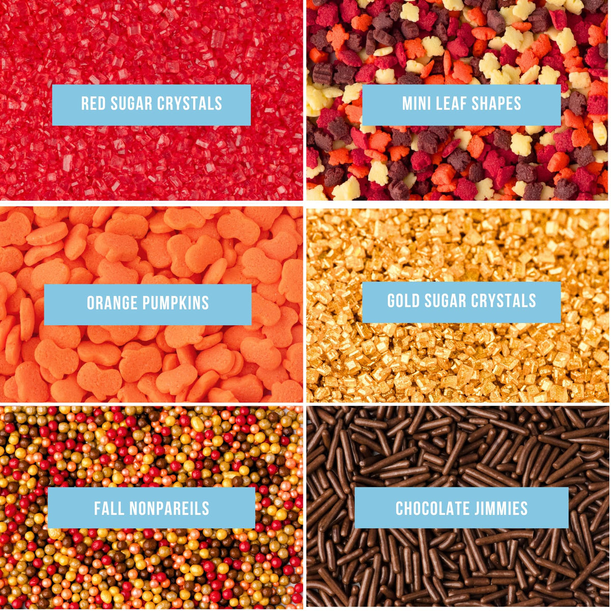 Sweets Indeed Sprinklefetti Fall 6-Cell Sprinkle Jar - 6 Assorted Fall Sprinkles (Pumpkins  Leaves  Sugar Crystals  Nonpareils  Jimmies) | Cupcake & Cake Decorations | 6.45 oz