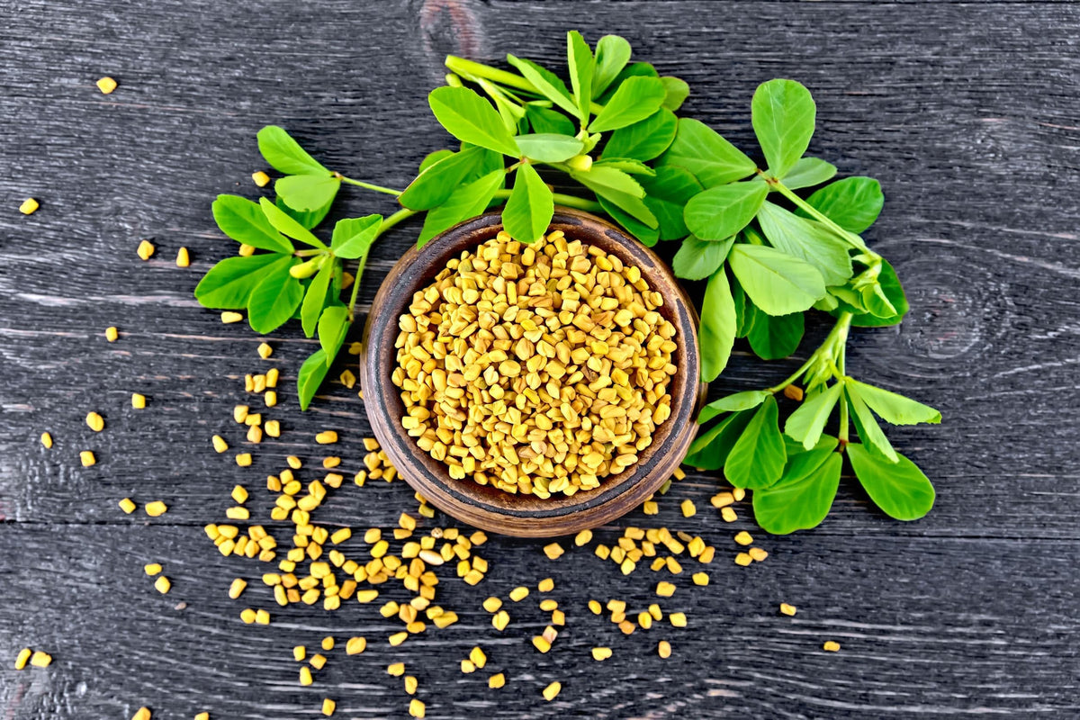 Food To Live - Organic Fenugreek Seeds, 1 Pound - Non-Gmo, Raw, Whole Methi, Kosher, Vegan, Bulk, Rich In Iron, Copper And Fiber