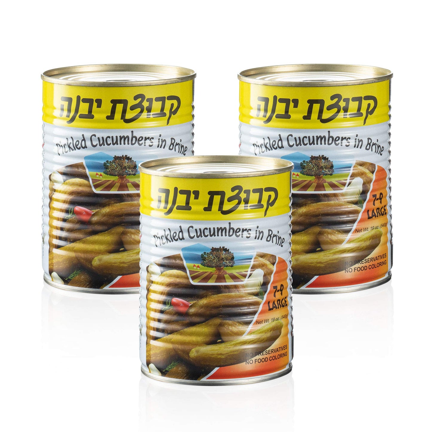 Pickled Cucumbers in Brine | Crispy Cucumber Pickles, All Natural, No Preservatives | Pack of 3, Total of 57 Oz (Large Pickles)