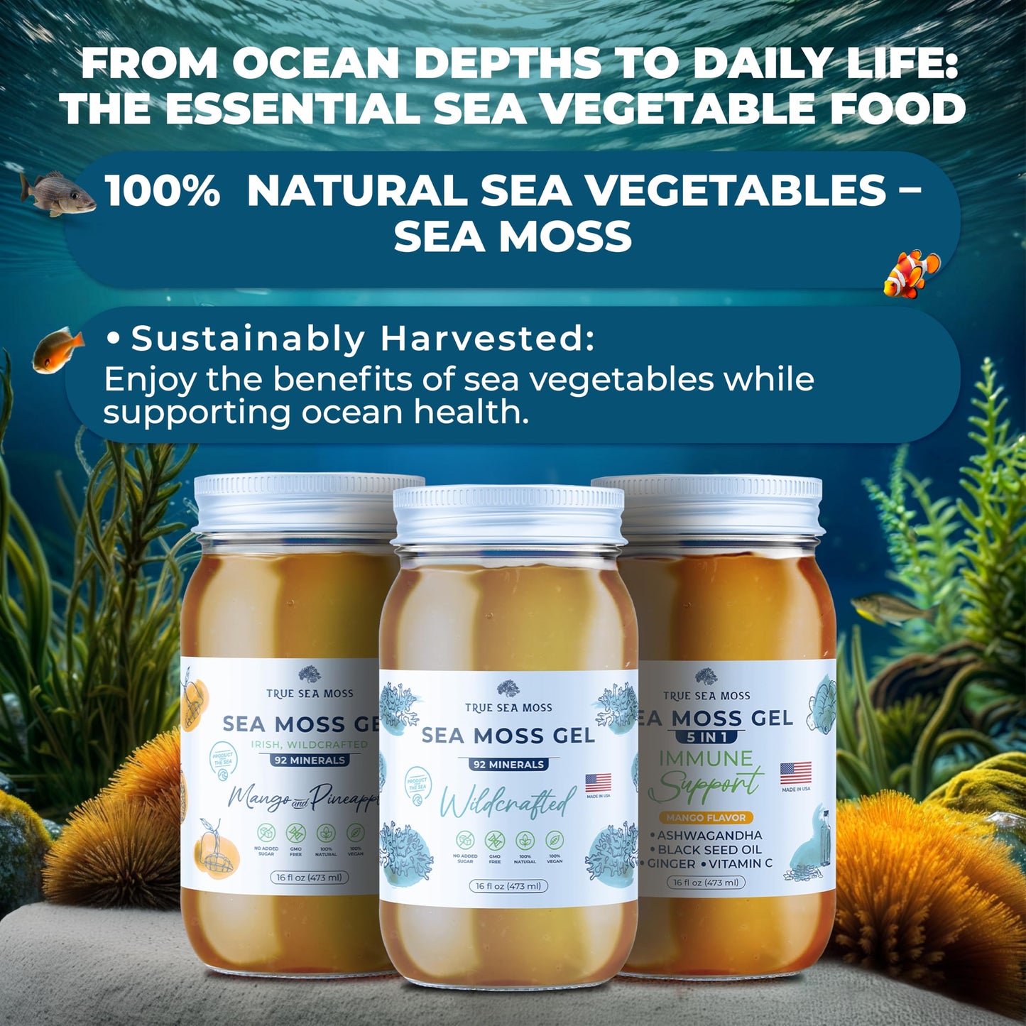 Trueseamoss Wildcrafted Irish Sea Moss Gel - Made With Dried Seaweed & Fresh Sea Vegetables, Seamoss- Made In Usa (Elderberry, P