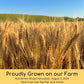 Palouse Brand Wheat Berries | Hard Red Winter, Hard Spring, Soft White | 20 lb Variety Pack | Non-GMO, Kosher, USA Grown