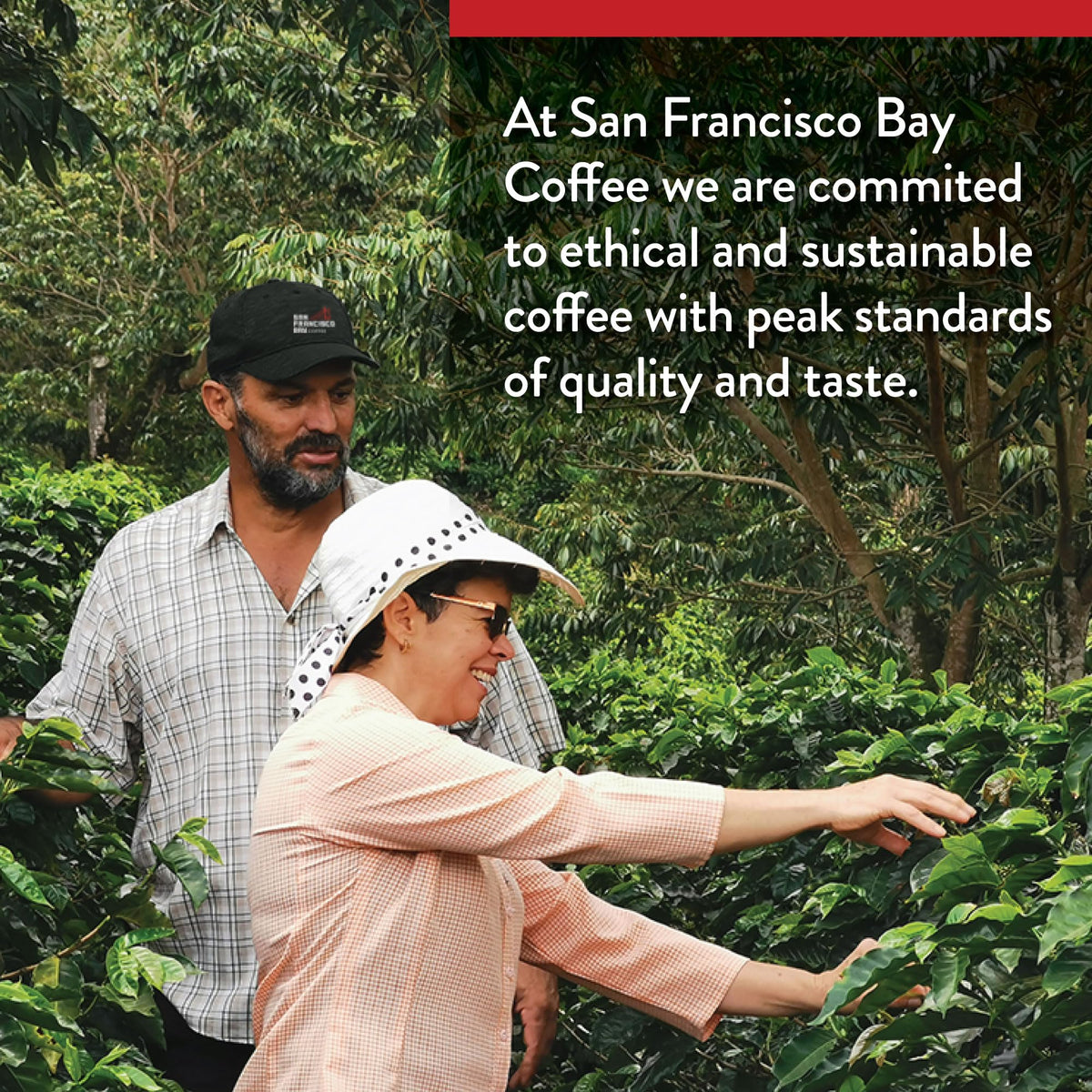San Francisco Bay Compostable Coffee Pods - Decaf Bay Bridge Blend (80 Ct) K Cup Compatible, Medium Roast, Swiss Water Processed