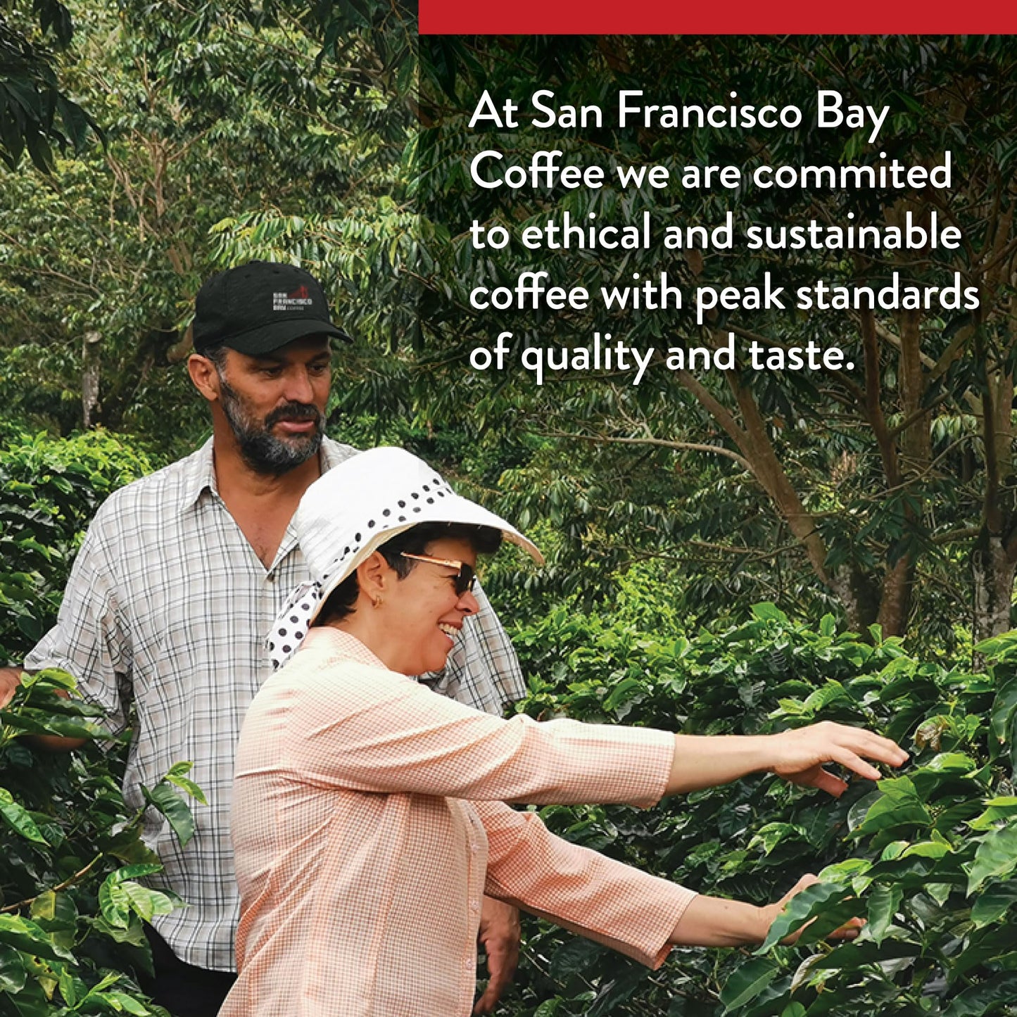 San Francisco Bay Compostable Coffee Pods - Decaf Gourmet Blend (80 Ct) K Cup Compatible Including Keurig 2.0, Dark Roast, Swiss