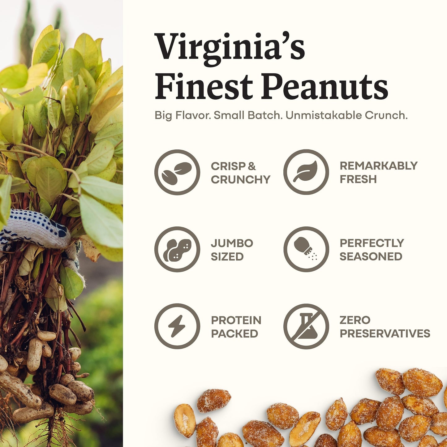 Belmont Peanuts Gourmet Honey Roasted Peanuts, 25 oz, 8 Simple Ingredients, No Preservatives, 6g Protein Snack