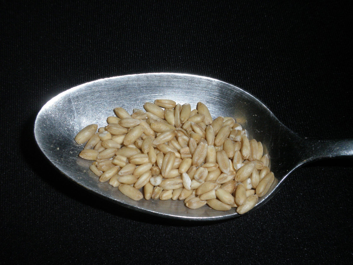 Whole Oats 5 Pounds Hulled, Groats, Usda Certified Organic Non-Gmo Bulk, Mulberry Lane Farms