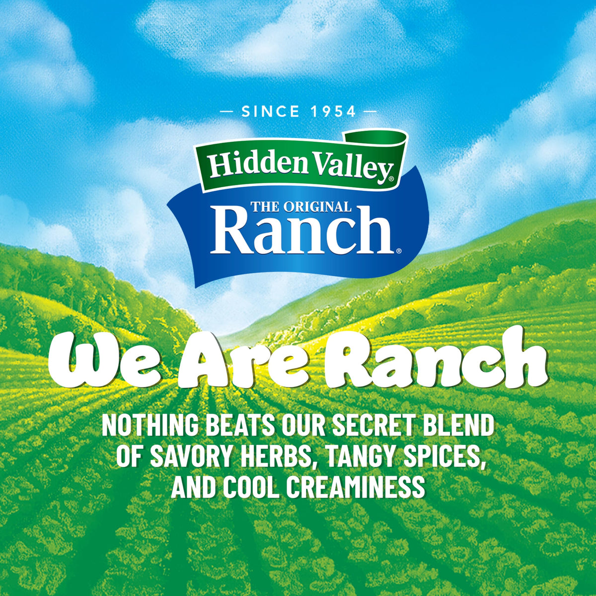 Hidden Valley Light Ranch Condiment and Dressing, Easy Squeeze Bottle, 24 Fl Oz (Package May Vary)