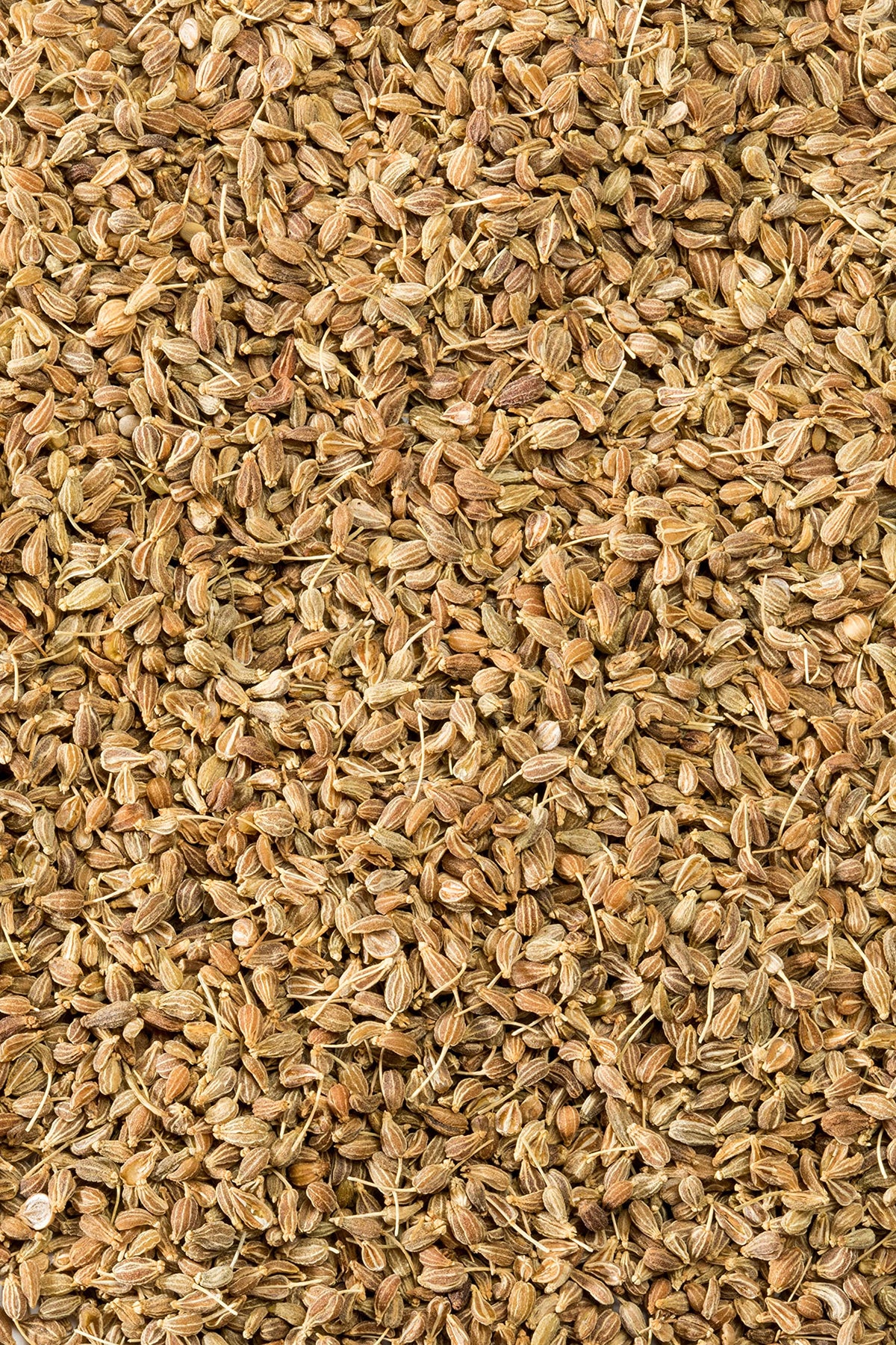 McCormick Gourmet Organic Anise Seed, 1.37 oz, Pack of 1