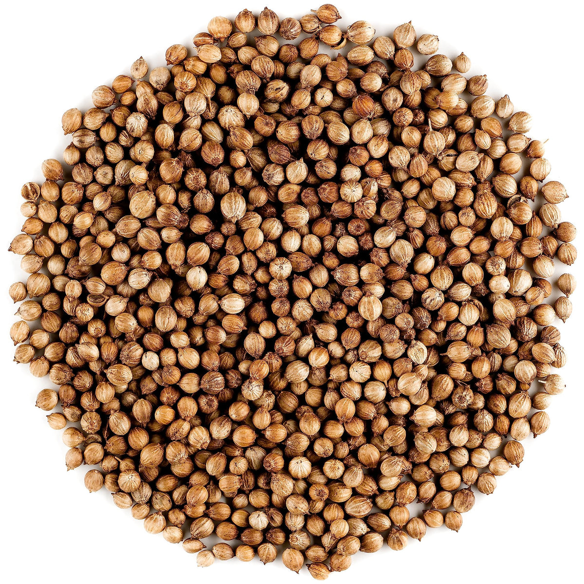 Valley of Tea Organic Coriander Seed - Gourmet Quality Cilantro Seeds, 17.63 Ounce