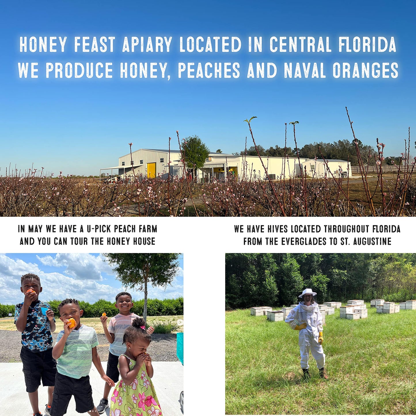 Honey Feast Allergy Blend Honey, 3Lb Jar - Premium American Honey, Floridian Origin, Raw & Unfiltered, Enhanced Pollen Content,