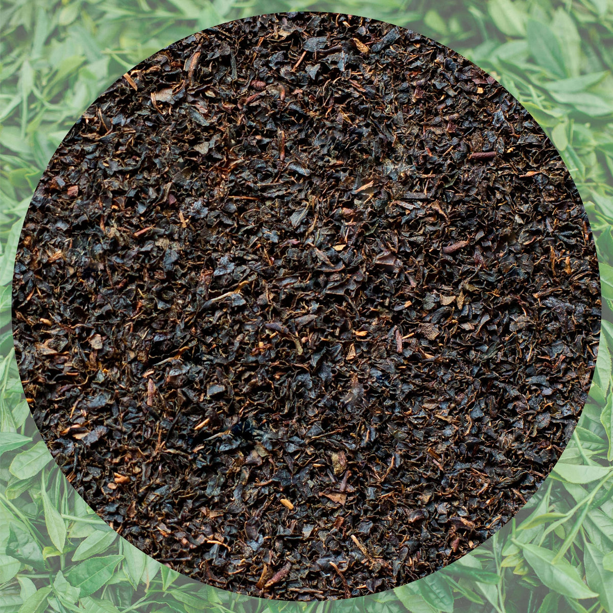 Lazika Black Tea, Loose Leaf Tea, 14.1 Oz, English Breakfast Tea, Tea Gift For Tea Lovers With Gift Pack
