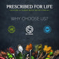 Prescribed For Life Organic Sodium Bicarbonate Powder, Aluminum Free, USP Grade, 1 kg (2.2 lb)