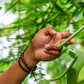 Ecuadorian Vanilla Beans - Whole Grade A Pods for Baking and Extract Making
