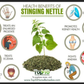 Wild Stinging Nettle Elixir