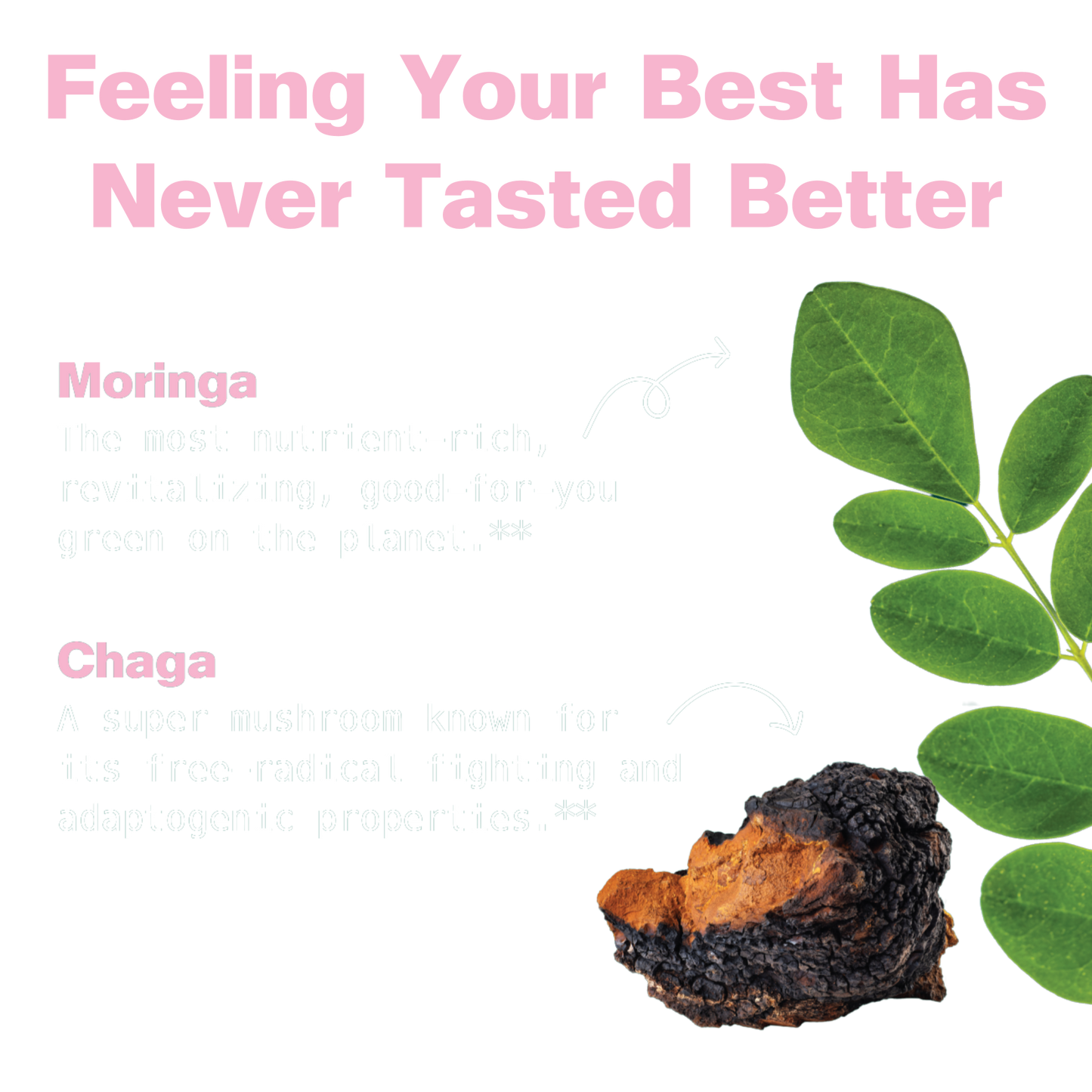 Moringa & Chaga Mushroom Superfood Gummies