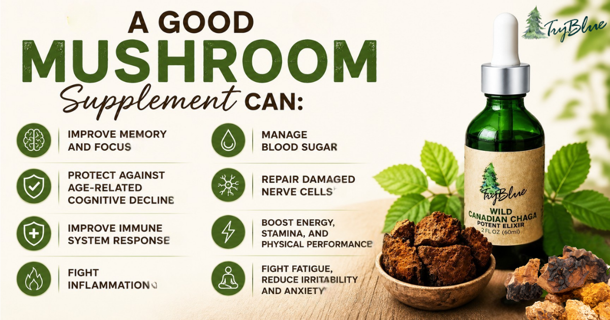 Wild Canadian Chaga Elixir