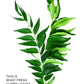 Curry Leaves, Dried, Certified Organic - 1 oz