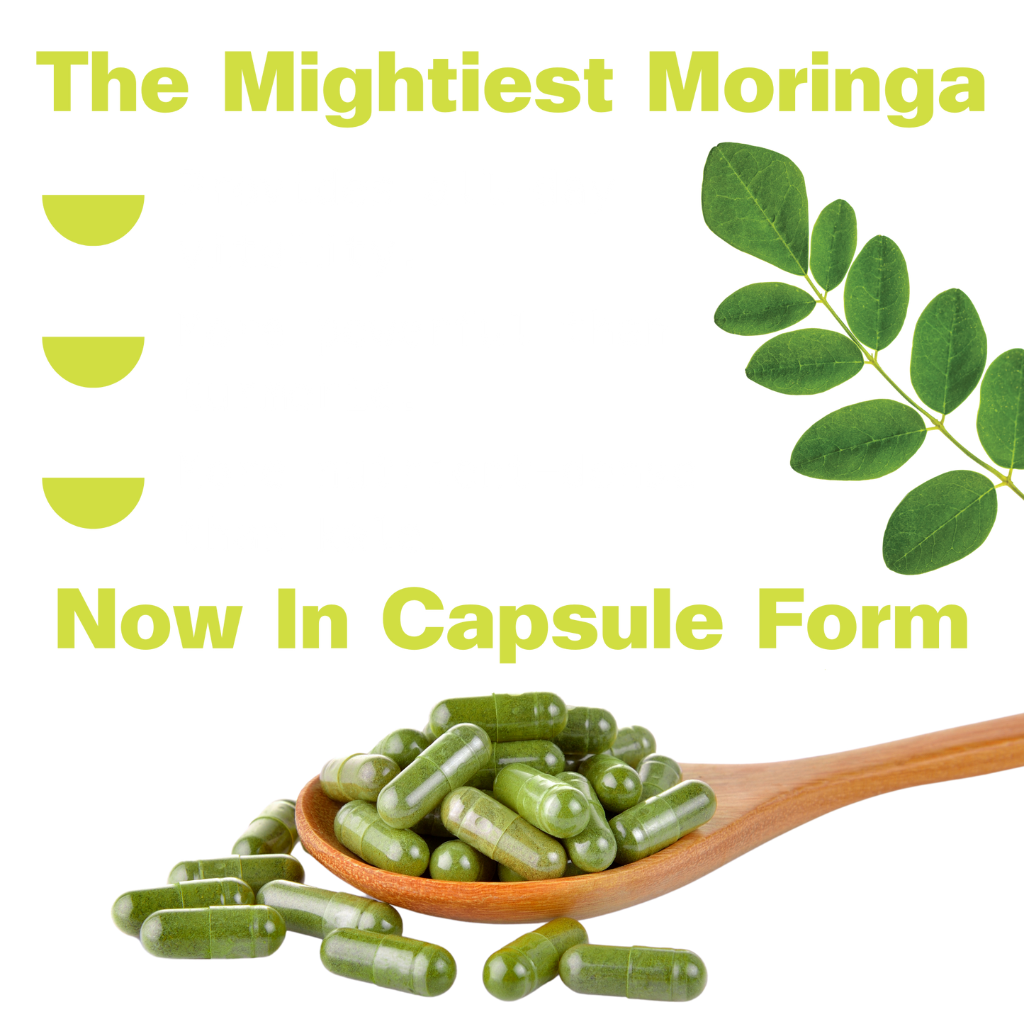 Organic Pure Moringa Powder Capsules (60-Count)