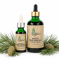 White Pine Needle Elixir