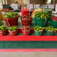 Fresh Hatch Green Chile, 2026 Harvest, 10 lb Box, Choose Your Heat, Shipped Fresh from New Mexico